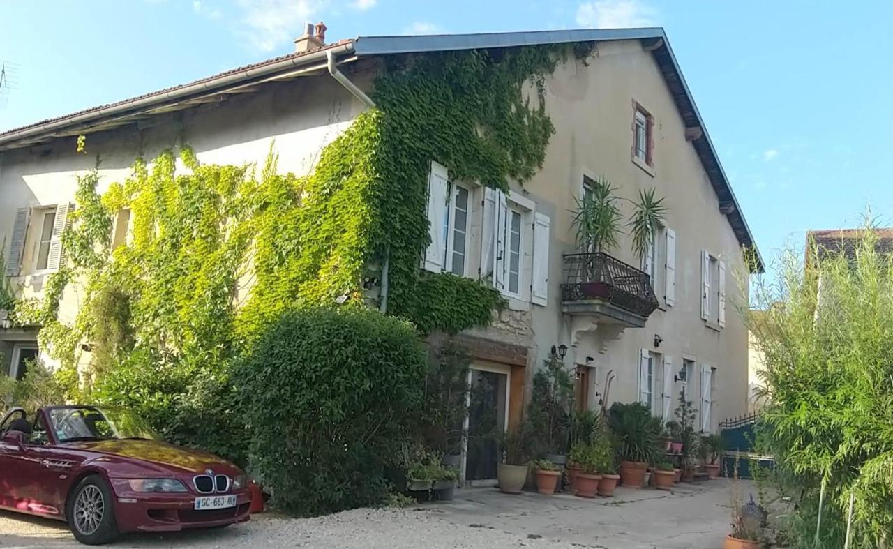 A La Grenouille Du Jura Hotel Bellignat Kültér fotó