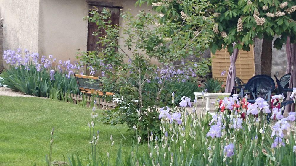 A La Grenouille Du Jura Hotel Bellignat Kültér fotó