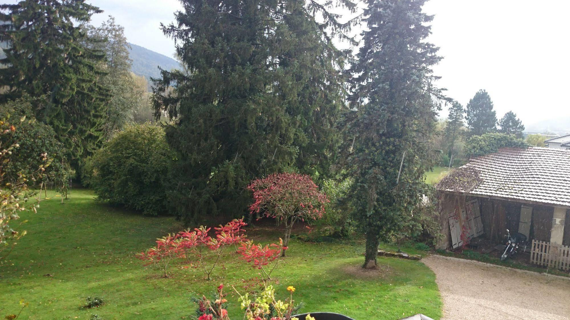 A La Grenouille Du Jura Hotel Bellignat Kültér fotó